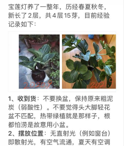 水宝宝养花的好处，提升观赏性，改善家居氛围