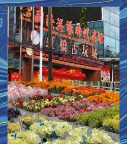 蟹的养殖，技术要点，常见问题