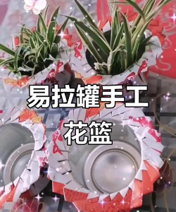 蟹的养殖，技术要点，常见问题