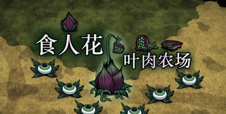 蟹的养殖，技术要点，常见问题