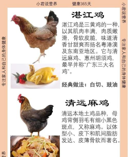 养花说课稿，教学重点解析，课堂互动设计