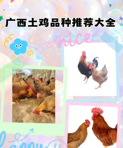 养花说课稿，教学重点解析，课堂互动设计