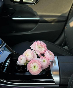 养花说课稿，教学重点解析，课堂互动设计