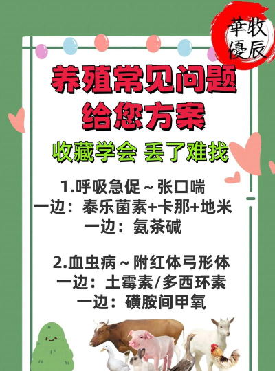 养殖牛羊,新手入门,常见问题解答 养殖牛羊,新手入门,常见问题解答