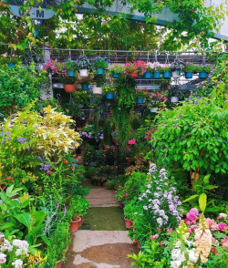 深港花卉中心,花卉选购指南,新手避坑技巧 深港花卉中心,花卉选购指南,新手避坑技巧