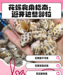 家里阳光不足怎么养花，选对植物种类，掌握养护技巧