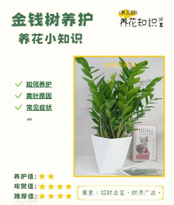 养花不好的人煞气多，养花常见问题，如何化解煞气