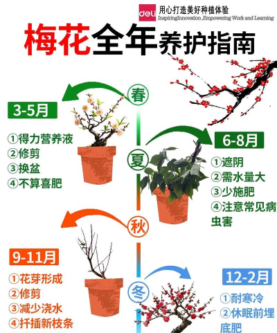 蟹的养殖，技术要点，常见问题