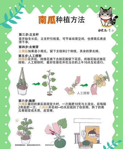 蟹的养殖，技术要点，常见问题