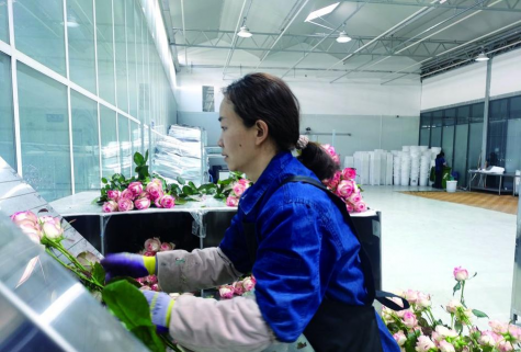 蟹的养殖，技术要点，常见问题