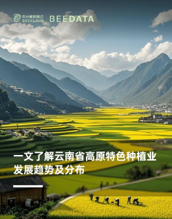 室内花卉装饰，提升居家氛围，打造自然空间