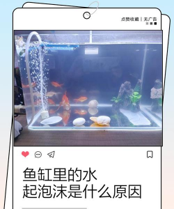 养花不好的人煞气多，养花常见问题，如何化解煞气