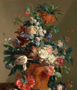 养花不好的人煞气多，养花常见问题，如何化解煞气