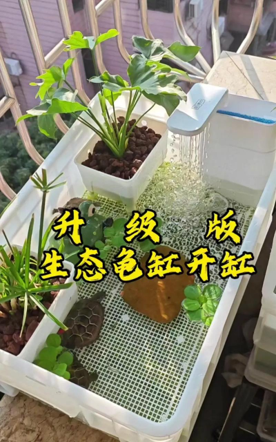 养花不好的人煞气多，养花常见问题，如何化解煞气