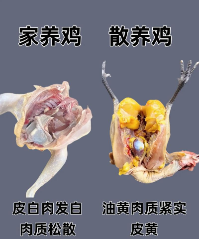 养花不好的人煞气多，养花常见问题，如何化解煞气