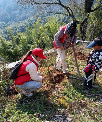 小众送妈妈的花有哪些花