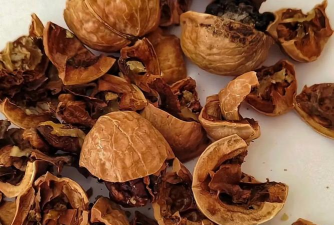 室内花卉装饰，提升居家氛围，打造自然空间