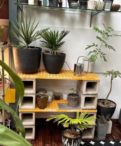 室内花卉装饰，提升居家氛围，打造自然空间