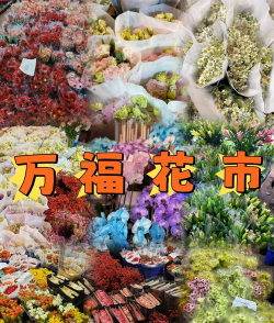 室内花卉装饰，提升居家氛围，打造自然空间