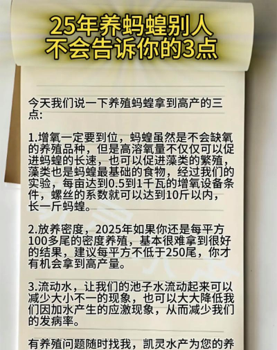 青鱼养殖，掌握关键技巧，提升养殖效益