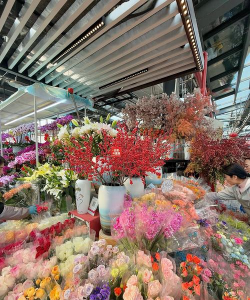 徐州花卉市场，买花好去处，品种多价格优