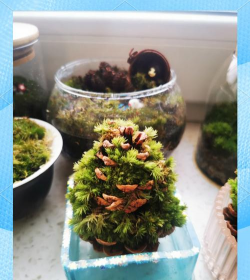 青鱼养殖，掌握关键技巧，提升养殖效益