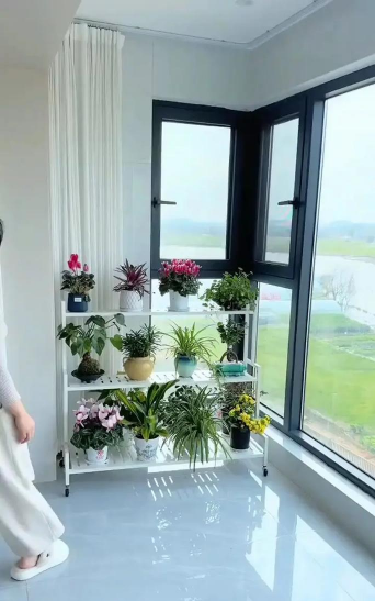 青鱼养殖，掌握关键技巧，提升养殖效益