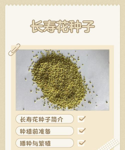 青鱼养殖，掌握关键技巧，提升养殖效益