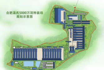 懒人养花神器，轻松打理花草，告别繁琐养护