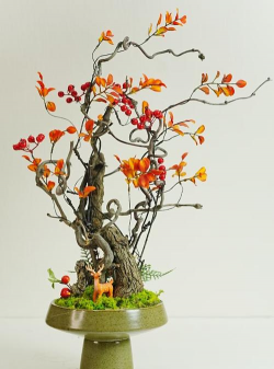 懒人养花神器，轻松打理花草，告别繁琐养护