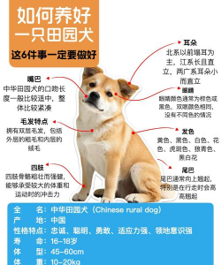 阿斯匹林能养花吗，了解实际效果，掌握正确用法