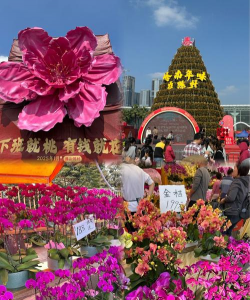 懒人养花神器，轻松打理花草，告别繁琐养护