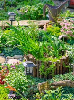 室内花卉装饰，提升居家氛围，打造自然空间