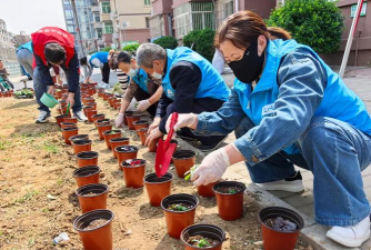室内花卉装饰，提升居家氛围，打造自然空间