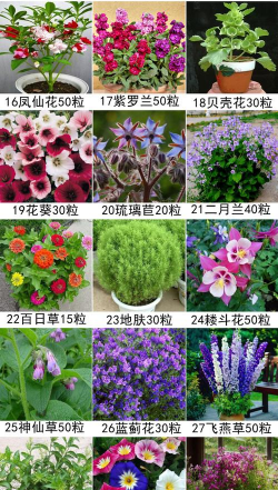 室内花卉装饰，提升居家氛围，打造自然空间