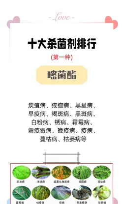 养花杀菌药,怎么选才靠谱,常见问题解答 养花杀菌药,怎么选才靠谱,常见问题解答