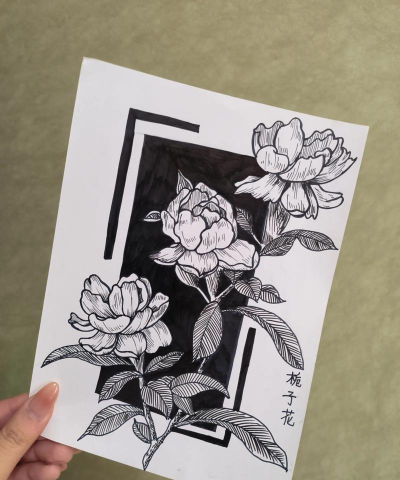 线描装饰画花卉,简单易上手,美化家居空间 线描装饰画花卉,简单易上手,美化家居空间