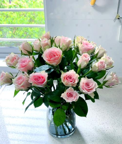 青鱼养殖，掌握关键技巧，提升养殖效益