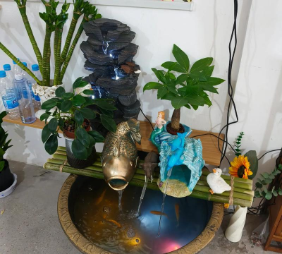 青鱼养殖，掌握关键技巧，提升养殖效益