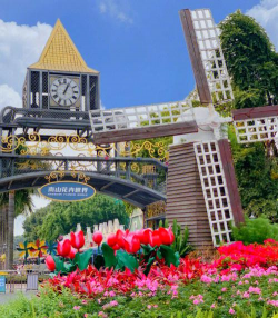 室内花卉装饰，提升居家氛围，打造自然空间