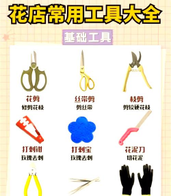 养花不好的人煞气多，养花常见问题，如何化解煞气