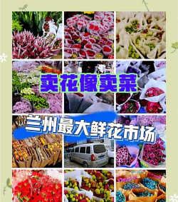 养花不好的人煞气多，养花常见问题，如何化解煞气