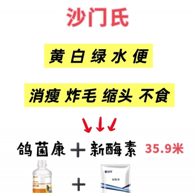 青鱼养殖，掌握关键技巧，提升养殖效益