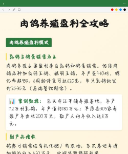 青鱼养殖，掌握关键技巧，提升养殖效益