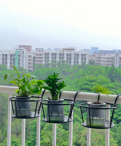 青鱼养殖，掌握关键技巧，提升养殖效益