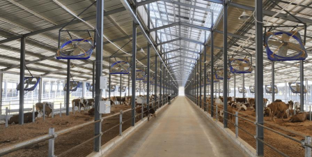 养花不好的人煞气多，养花常见问题，如何化解煞气