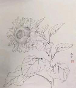 养花不好的人煞气多，养花常见问题，如何化解煞气