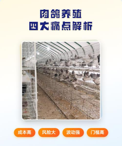 养花不好的人煞气多，养花常见问题，如何化解煞气