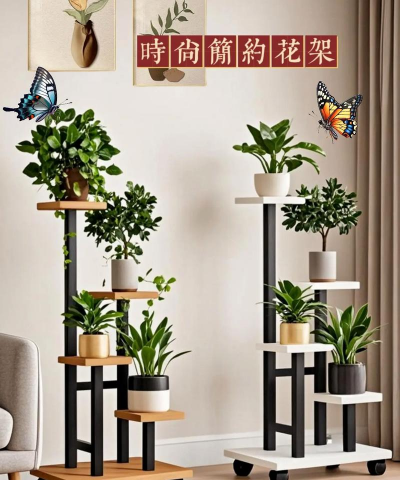 家里阳光不足怎么养花，选对植物种类，掌握养护技巧