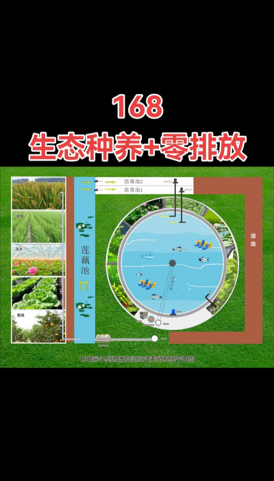 家里阳光不足怎么养花，选对植物种类，掌握养护技巧